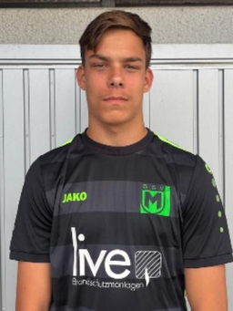 Avatar Bild für Nikola Brnjakovic