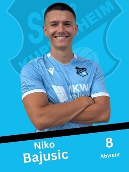 Avatar Bild für Niko Bajusic