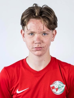 Avatar Bild für Vincent Englisch