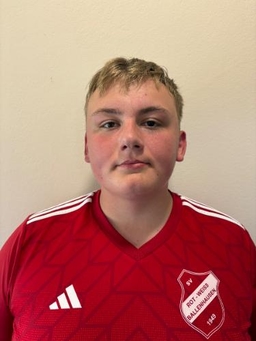 Avatar Bild für Luca Darnedde