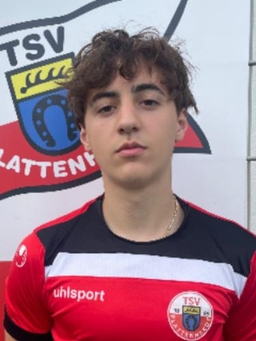 Avatar Bild für Mattia Fiorella