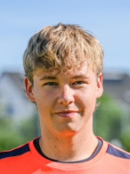 Avatar Bild für Henry Hutzenlaub