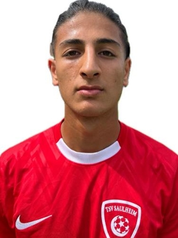 Avatar Bild für Mansour Ahmadi