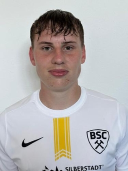 Avatar Bild für Maximilian Dressler