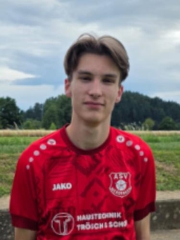 Avatar Bild für Mael Licht