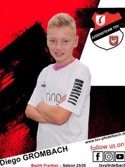 Avatar Bild für Diego Grombach
