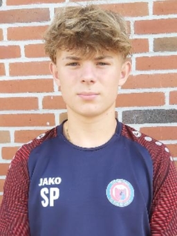 Avatar Bild für Sem Niklas Postma