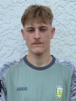 Avatar Bild für Enrico-Alessandro Aller