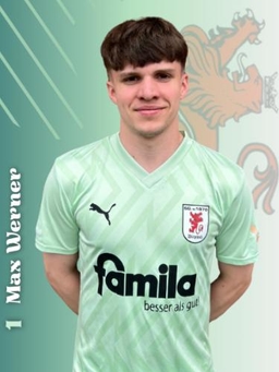Avatar Bild für Max Werner