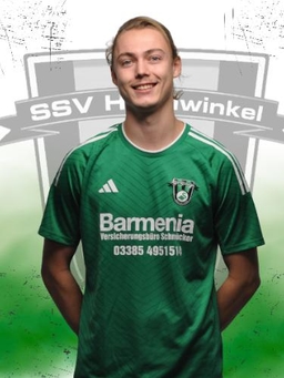 Avatar Bild für Max Johannes Dennstedt