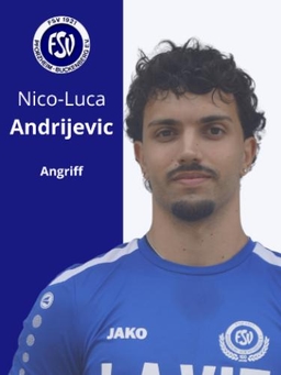 Avatar Bild für Nico Luca Andrijevic