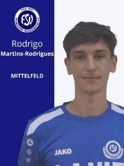 Avatar Bild für Rodrigo Martins Rodrigues