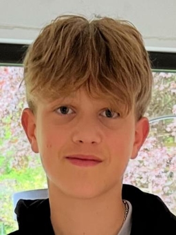 Avatar Bild für Henri Schönwitz