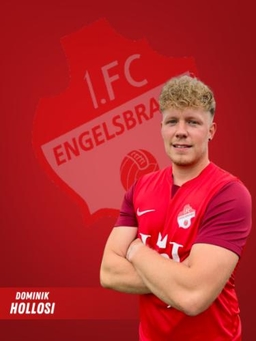 Avatar Bild für Dominik Alexander Hollosi