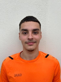 Avatar Bild für Luca Ricciardella