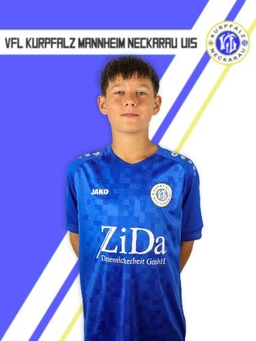 Avatar Bild für Nikola Mitrovic