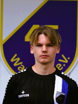 Avatar Bild für Nils Seiferlin