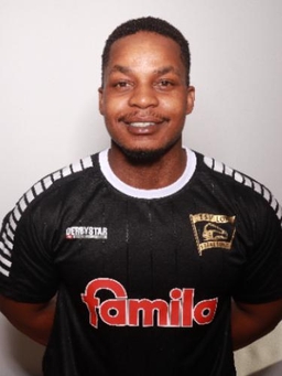 Avatar Bild für Lincoln Tanaka Hodzi