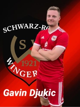 Avatar Bild für Gavin Djukic