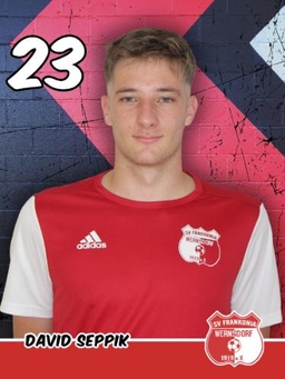 Avatar Bild für David Seppik