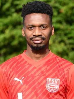 Avatar Bild für Alphonso Henock Manata