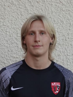 Avatar Bild für Raphael Wetzel