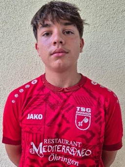 Avatar Bild für Damijan Veselinovic