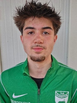 Avatar Bild für Kian Mamarvar