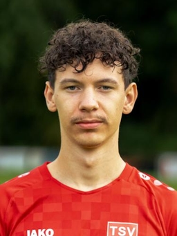 Avatar Bild für Linus Nestl