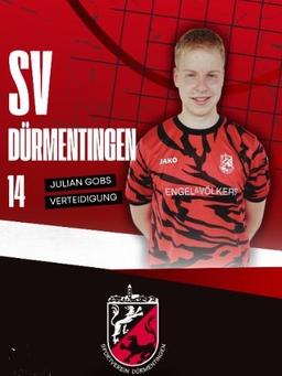 Avatar Bild für Julian Gobs