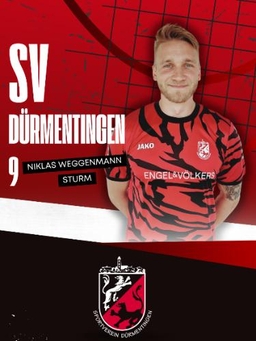 Avatar Bild für Niklas Weggenmann