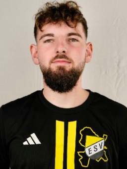 Avatar Bild für Dominik Greiser