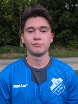 Avatar Bild für Henry Christian Primavesi