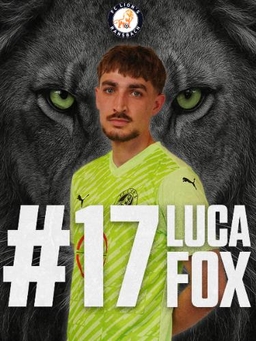 Avatar Bild für Luca Fox