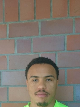 Avatar Bild für Michael Gries