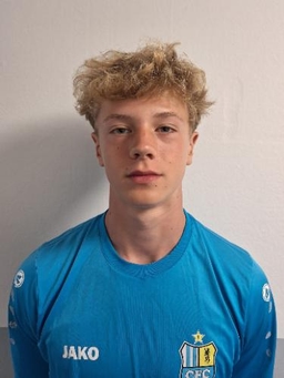 Avatar Bild für Nino Scherm