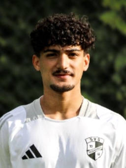 Avatar Bild für Mohammad Ali Mahmoudi