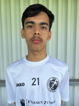 Avatar Bild für Mohamad Dehqanzada