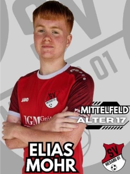 Avatar Bild für Elias Mohr