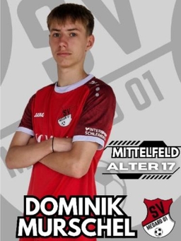 Avatar Bild für Dominik Murschel