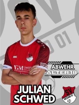 Avatar Bild für Julian Johannes Schwed