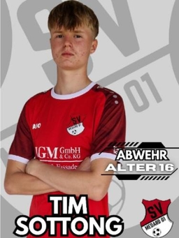 Avatar Bild für Tim Sottong