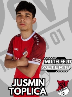 Avatar Bild für Jusmin Toplica