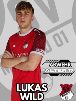 Avatar Bild für Lukas Wild