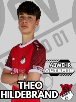 Avatar Bild für Theo Hildebrandt