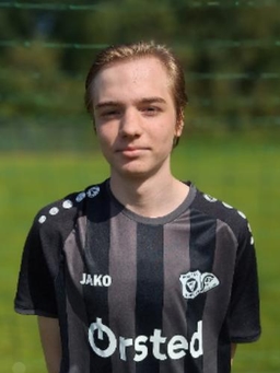 Avatar Bild für Thees Kleen