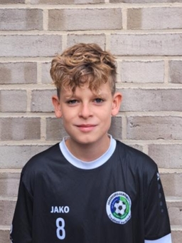 Avatar Bild für Henri Böhmer