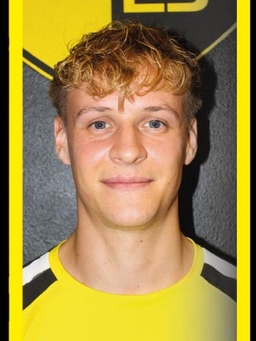 Avatar Bild für Louis Spielmann