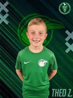 Avatar Bild für Theo Zschenker