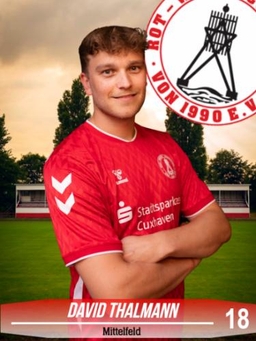 Avatar Bild für David Thalmann